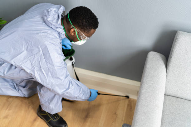 Best Pest Exclusion Services  in Amberley, OH